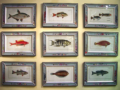 A Set of eight Hand-Colored Copperplate Engravings of Fish by Marcus Elieser Bloch, Circa 1780. SOLD •