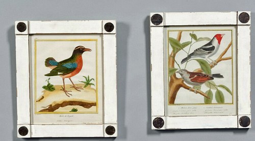 A Set of Eight Hand Coloured Ornithological Engravings, Francois Martinet, Circa 1770-86 SOLD •