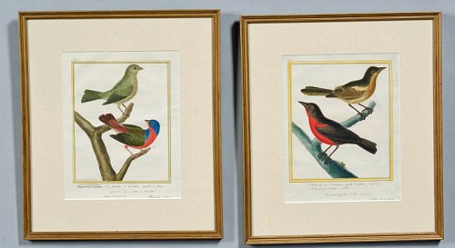 A Set of Four FranÃ§ois Nicolas Martinet's Hand coloured Ornithological Engavings, Circa 1770-86. SOLD •