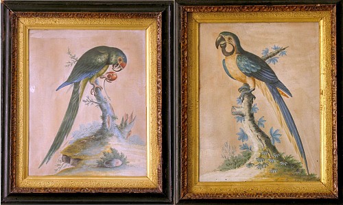 A Pair of Isaac Spackman Pictures, in Basso Relievo of the West Indian Longtailed Parakeet and the American Yellow & Blue Macaw, Circa 1750 SOLD •