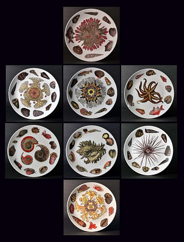 A Set of Eight Rare Piero Fornasetti Conchiglie Pattern Deep Dishes decorated with Sea Anemones, Urchins & Shells, Circa 1960's-early 1970's. SOLD •