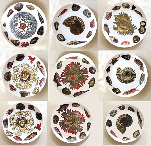 Piero Fornasetti Vintage Piero Fornasetti Conchiglie Pattern Set of Six Plates decorated with Sea Anemones, Urchins & Shells,, Circa 1960-70's SOLD •