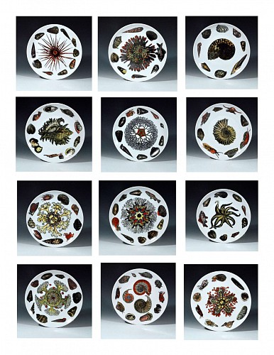 Vintage Piero Fornasetti Conchiglie Pattern Porcelain Complete Set of Twelve Plates, Decorated With Sea Anemones, Urchins & Shells, Circa 1960-70's. SOLD •