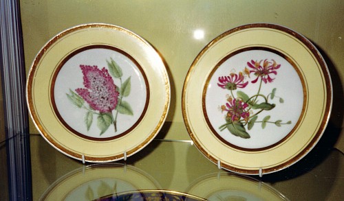 Paris Porcelain Paris Porcelain Yellow-ground Botanical Plates,  Neppel a Paris, 1795 SOLD •