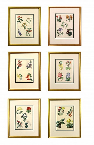 Inventory: Set of Botanical Prints, W. Thompson, "The English Flower Garden", First Edition 1852-53; Set of Six Framed Prints., 1852-1853 $4,000