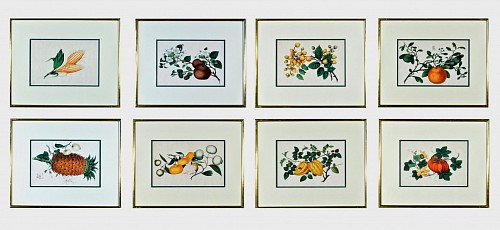 Inventory: China Trade China Trade Watercolour Set of Eight Exotic Fruit Pith Paper Paintings, 1870-80 $12,500