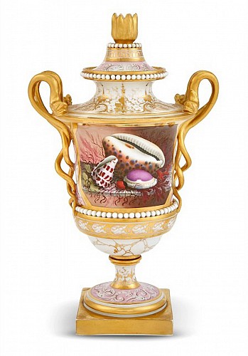 Flight, Barr & Barr Factory Barr Flight & Barr Worcester Porcelain Sea Shell Decorated Vase, Early 19th Century SOLD •