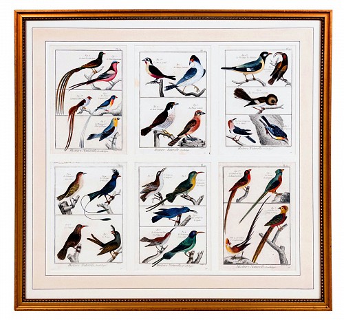 Large Picture containing Six Different Engravings of Grouping of Birds, 1783 $2,800
