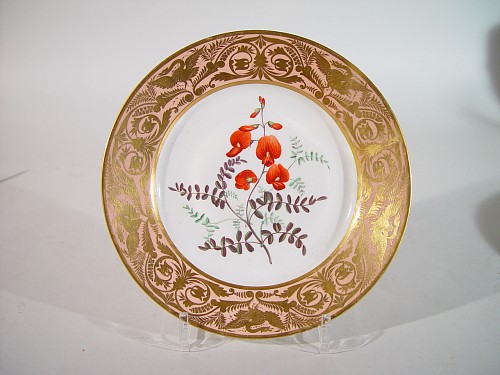 Derby Factory Antique Derby Porcelain Salmon Ground  Plate, A Small Leaved Bladder Senna, by John Brewer, Circa 1815 $150