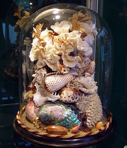 shellwork Victorian Domed Sea Shell Arrangement, Circa 1850-70 $1,250