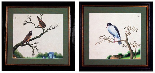 China Trade Chinese Export Bird Watercolours Paintings on Paper, Circa 1800-20 $2,000