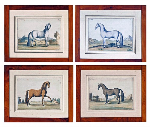 Baron D'Eisenberg 18th-century Prints of Horses by Baron D'Eisenberg, Published in 1747 $8,000