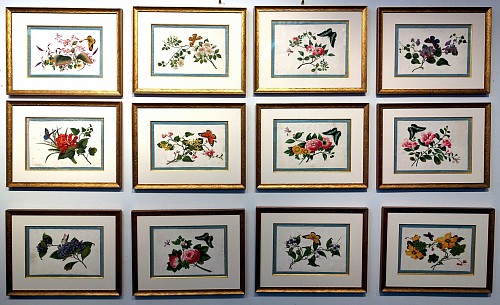 China Trade China Trade Botanical Studies Set of Twelve with Insects by Youqua Painter Old Street No. 34, Circa 1840-50 $18,000