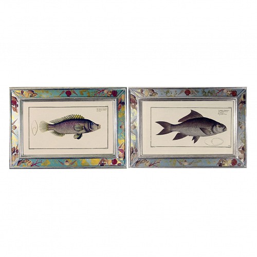 Inventory: Marcus Bloch Engravings of Fish by Marcus Bloch,  (Two), Circa 1780 $2,000