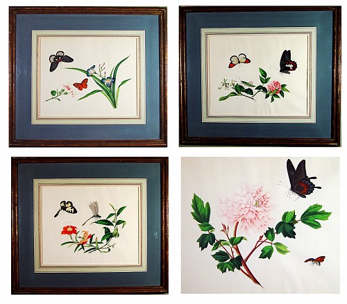 China Trade China Trade Large Botanical & Butterfly Watercolours on Paper in a Set of Four, Early 19th Century $6,000
