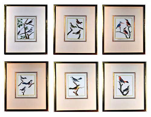 FranÃ§ois Nicolas Martinet Francois Martinet Set of Six Large Bird Engravings, Circa 1770 $4,000