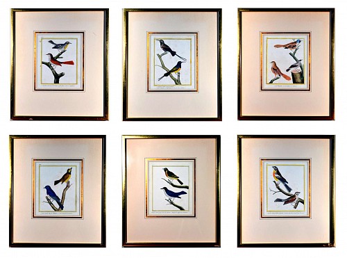 FranÃ§ois Nicolas Martinet Francois Martinet Set of six Large Framed Bird Engravings, Circa 1770 $4,000