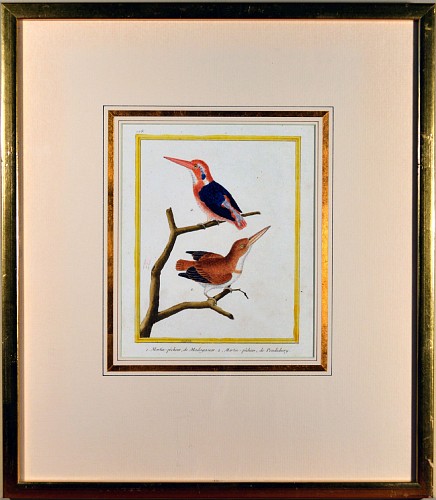 FranÃ§ois Nicolas Martinet Francois Martinet Bird Engraving depicting a ""Martin pecheur Madagascar"" and a ""Martin pecheur de Pondecherry"", Circa 1770 $950