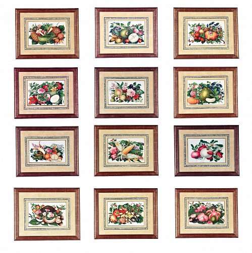 China Trade China Trade Watercolor and Gouache on Pith Paper Set of Twelve Paintings of Fruit and Flowers, 1850 $15,000