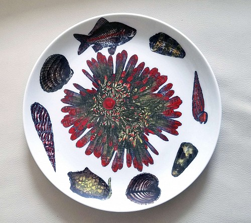 Piero Fornasetti Vintage Piero Fornasetti Conchiglie Pattern Plate decorated with Sea Anemones, Urchins & Shells, Circa 1960-70's $650