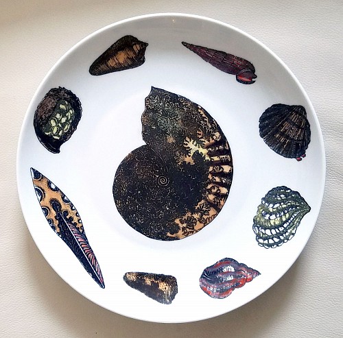 Inventory: Piero Fornasetti Vintage Piero Fornasetti Conchiglie Pattern Plate decorated with Sea Anemones, Urchins & Shells, Circa 1960-70's $650