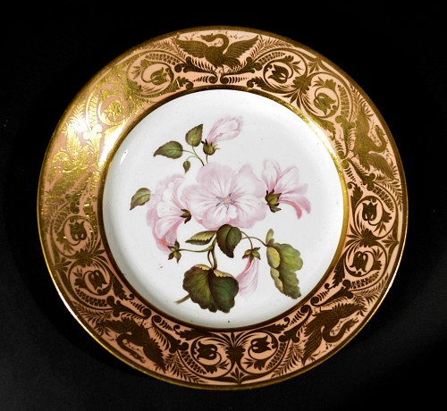 Inventory: Derby Factory Antique Derby Porcelain Salmon Ground Plate, An Annual Lavetera, by John Brewer, Circa 1815 $750
