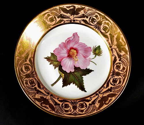 Derby Factory Antique Derby Porcelain Salmon Ground Plate, A Marsh Hibiscus, by John Brewer after William Curtis, Circa 1815 $750