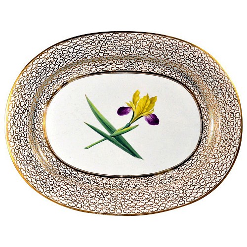 Inventory: Chamberlain&#039;s Worcester Regency English Chamberlain Worcester Porcelain Large Botanical Dish with Iris, Circa 1815 $1,500