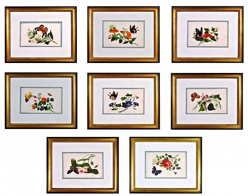 China Trade Chinese Watercolours of Flowers and Butterflies on Pith Paper Set of Eight, 1840 SOLD •