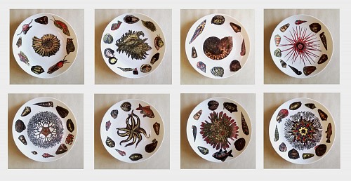 Piero Fornasetti Piero Fornasetti Porcelain Dinner Plates With Sea Anemones, Urchins & Shells, Conchiglie Pattern, 1960's-early 1970's $9,500