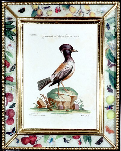 George Edwards Johann Seligmann Bird Print of Le Merle Rofette, Tab XXXIX, after George Edwards, 1770s $2,000