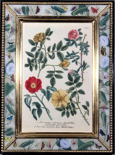 Inventory: Johann Wilhelm Weinmann Johann Wilhelm Weinmann Print of Roses with Decoupage Frame- Engraved by Johann Jacob Haid, 1737-1745 $2,500