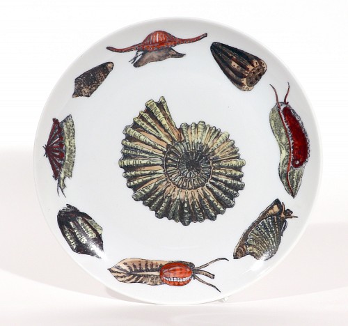 Piero Fornasetti Piero Fornasetti Porcelain Conchiglie Seashell Plate With Snails and Mollusks, #8, 1960-70s $650
