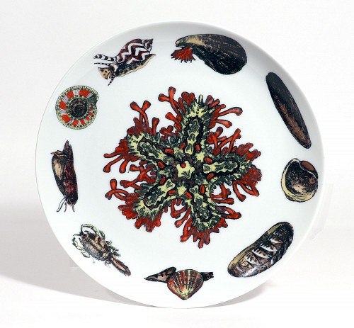 Inventory: Piero Fornasetti Piero Fornasetti Porcelain Conchiglie Seashell Plate With Snails and Mollusks, #2, 1960-70s $650