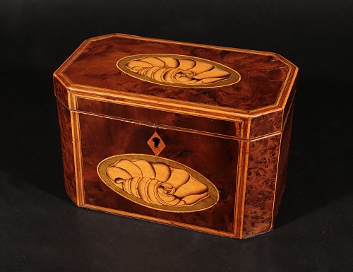 British Furniture Georgian Burl Yew and Satinwood Octagonal Tea Caddy with Conch Shell Panels, 1780 $1,250