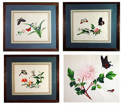 China Trade China Trade Large Botanical & Butterfly Watercolours on Paper in a Set of Four, Early 19th Century SOLD •