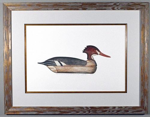 Arthur Nevin Duck Decoy Print By Arthur Nevin- Redbreasted Merganser, Inscribed Redbreasted Merganser, Beach Haven, NJ., 1935. 102/150, Circa 1970 $700