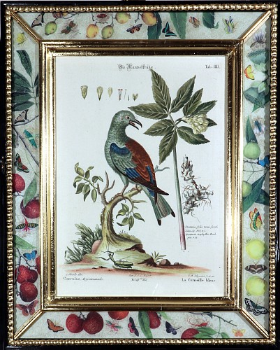 George Edwards Johann Seligmann Bird Print- La Corneille bleue, Tab IIII, after George Edwards, 1770 SOLD •