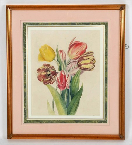 Print British Botanical Watercolor of Tulips, 19th Century $2,500