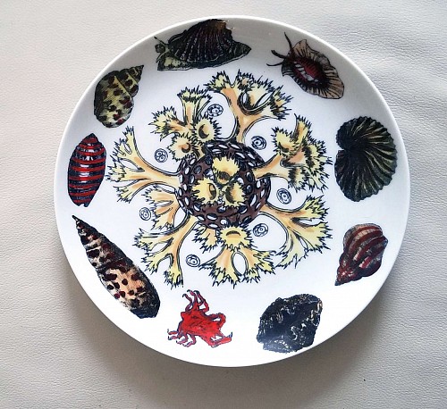 Inventory: Piero Fornasetti Vintage Piero Fornasetti Conchiglie Pattern Plate decorated with Sea Anemones, Urchins & Shells, Circa 1960-70's $650