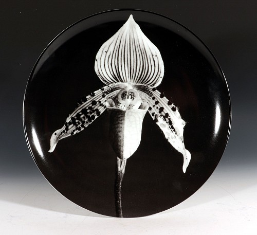 Inventory: Robert Mapplethorpe Robert Mapplethorpe Botanical Porcelain Plate, Orchid, 1987, 1980s $1,250