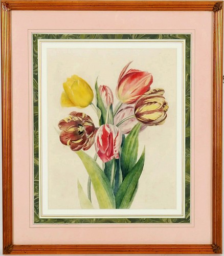 Watercolour Painting British Botanical Watercolor of Tulips, 19th Century $2,500