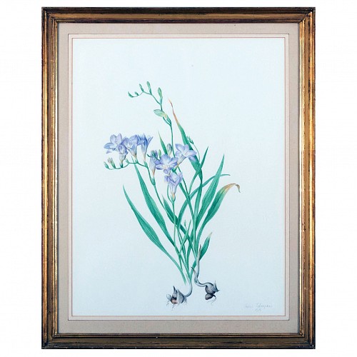 Print Botanical Print by Jessica Tcherpnine, 1985 $1,800