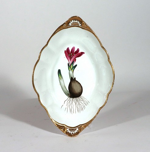 Spode Factory Spode Porcelain Botanical Specimen Dish of Bulbocodium Vernum (Spring Meadow Saffron), After William Curtis, 1810-20 $1,500