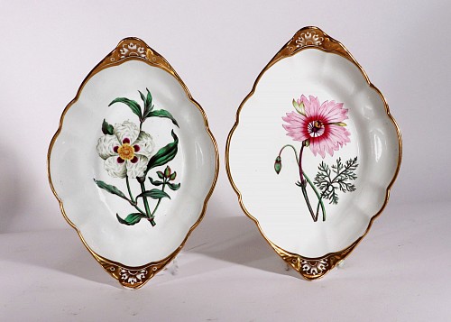 Spode Factory Spode Porcelain Botanical Specimen Dishes After William Curtis (A Pair), 1810-20 $3,000