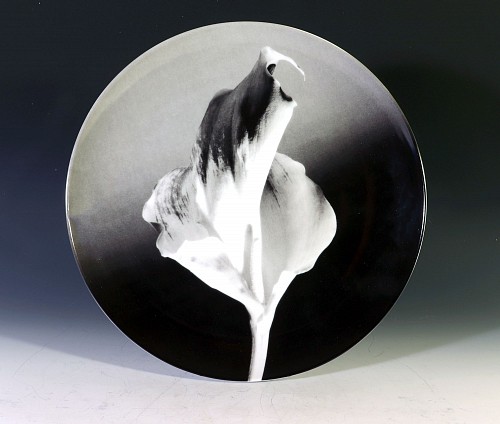 Inventory:  Robert Mapplethorpe, Robert Mapplethorpe Botanical Porcelain Plate, Flower, 1986, 1980s, $2,500