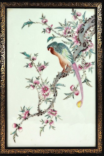 Inventory:  Chinese Porcelain, Chinese Porcelain Framed Famille Rose Plaque of Long Tailed Hawk on a Rose Tree Branch, 20th Century, $3,500