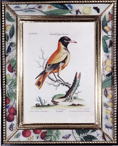 Johann Seligmann Johann Seligmann Bird Engraving of an Oriole, Le Loriot a tete noires Indes after George Edwards, 1770 $2,000