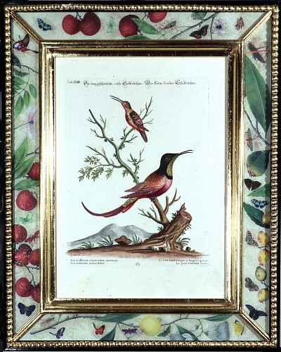 George Edwards Johann Seligmann Bird Print, Le Colibri rouge & Le petit Colibri brun, Tab LXIII, 1770s $2,000