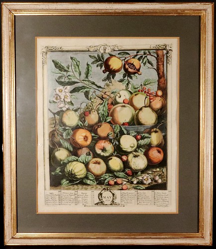 Antique Engravings 18th Century Botanical Engraving, The Twelve Months of Fruit- May, Henry Fletcher fro Robert Furber, Dated 1732 $950